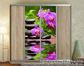 Наклейка на шафу-купе 220 х 60 см на 2 двері Орхідеї (БП_а_fl12671), фото 2