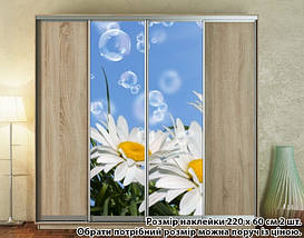 Наклейка на шафу-купе 220 х 102 см на 2 двері квіти (БП_а_fl101642), фото 6