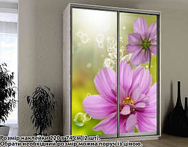 Наклейка на шафу-купе 220 х 60 см на 2 двері квіти (БП_а_fl101656), фото 3