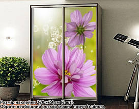 Наклейка на шафу-купе 220 х 60 см на 2 двері квіти (БП_а_fl101656), фото 4