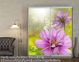 Наклейка на шафу-купе 220 х 60 см на 2 двері квіти (БП_а_fl101656), фото 5