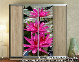 Наклейка на шафу-купе 220 х 74 см на 2 двері водяна лілія (БП_а_fl101658), фото 4