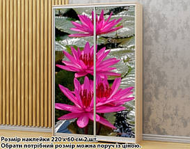 Наклейка на шафу-купе 220 х 74 см на 2 двері водяна лілія (БП_а_fl101658), фото 5