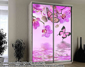Наклейка на шафу-купе 220 х 102 см на 2 двері  Орхідеї (БП_а_fl12687), фото 2