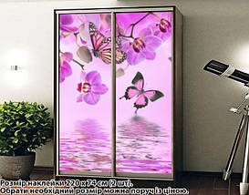 Наклейка на шафу-купе 220 х 102 см на 2 двері  Орхідеї (БП_а_fl12687), фото 3