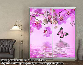 Наклейка на шафу-купе 220 х 102 см на 2 двері  Орхідеї (БП_а_fl12687), фото 4