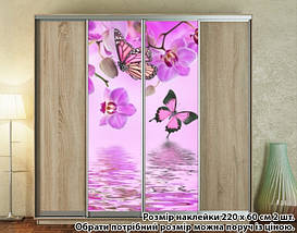 Наклейка на шафу-купе 220 х 102 см на 2 двері  Орхідеї (БП_а_fl12687), фото 5