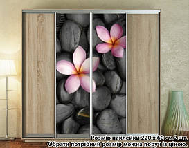Наклейка на шафу-купе 220 х 74 см на 2 двері Плюмерія (БП_а_fl101689), фото 5