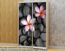 Наклейка на шафу-купе 220 х 74 см на 2 двері Плюмерія (БП_а_fl101689), фото 6