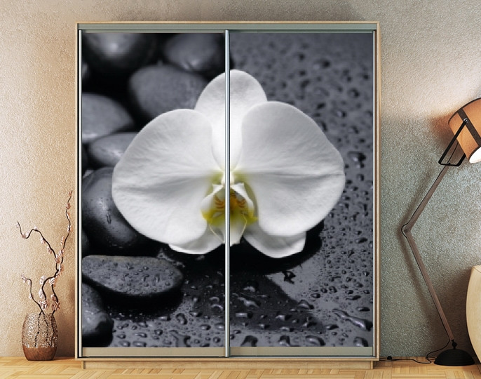 Наклейка на шафу-купе 220 х 102 см на 2 двері  орхідея (БП_а_fl101690)