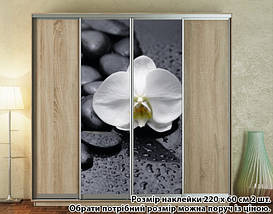 Наклейка на шафу-купе 220 х 102 см на 2 двері  орхідея (БП_а_fl101690), фото 2