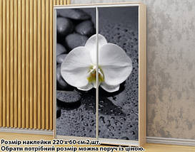 Наклейка на шафу-купе 220 х 102 см на 2 двері  орхідея (БП_а_fl101690), фото 3