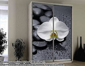Наклейка на шафу-купе 220 х 102 см на 2 двері  орхідея (БП_а_fl101690), фото 4