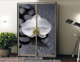 Наклейка на шафу-купе 220 х 102 см на 2 двері  орхідея (БП_а_fl101690), фото 5