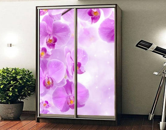 Наклейка на шафу-купе 220 х 74 см на 2 двері Орхідеї (БП_а_fl12768), фото 1
