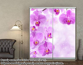 Наклейка на шафу-купе 220 х 74 см на 2 двері Орхідеї (БП_а_fl12768), фото 2