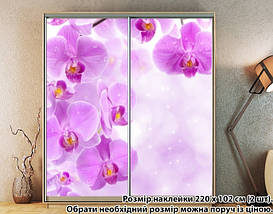 Наклейка на шафу-купе 220 х 74 см на 2 двері Орхідеї (БП_а_fl12768), фото 3