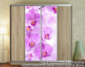 Наклейка на шафу-купе 220 х 74 см на 2 двері Орхідеї (БП_а_fl12768), фото 4