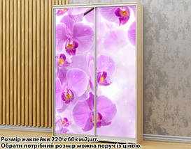 Наклейка на шафу-купе 220 х 74 см на 2 двері Орхідеї (БП_а_fl12768), фото 5