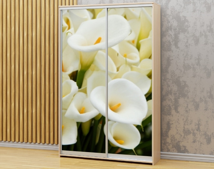 Наклейка на шафу-купе 220 х 60 см на 2 двері  Кали (БП_а_fl101737)