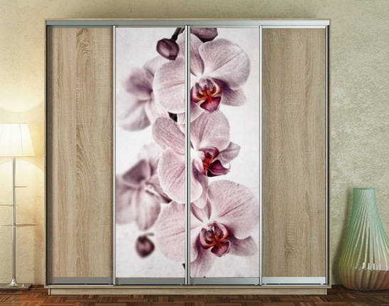 Наклейка на шафу-купе 220 х 60 см на 2 двері Орхідеї (БП_а_fl101787), фото 1
