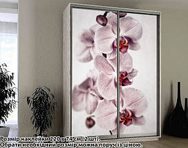 Наклейка на шафу-купе 220 х 60 см на 2 двері Орхідеї (БП_а_fl101787), фото 3