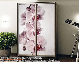 Наклейка на шафу-купе 220 х 60 см на 2 двері Орхідеї (БП_а_fl101787), фото 4