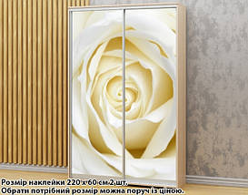 Наклейка на шафу-купе 220 х 60 см на 2 двері Біла троянда (БП_а_fl12807), фото 2