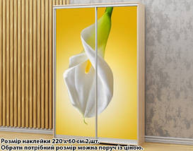 Наклейка на шафу-купе 220 х 74 см на 2 двері  Кали (БП_а_fl101793), фото 3