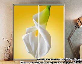 Наклейка на шафу-купе 220 х 74 см на 2 двері  Кали (БП_а_fl101793), фото 6