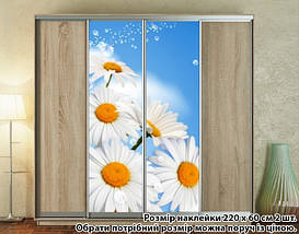 Наклейка на шафу-купе 220 х 60 см на 2 двері Ромашки (БП_а_fl101815), фото 2