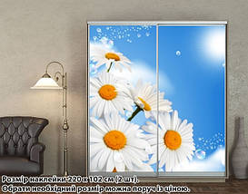 Наклейка на шафу-купе 220 х 60 см на 2 двері Ромашки (БП_а_fl101815), фото 5