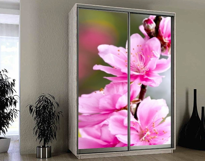 Наклейка на шафу-купе 220 х 74 см на 2 двері квіти (БП_а_fl101818)