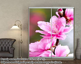 Наклейка на шафу-купе 220 х 74 см на 2 двері квіти (БП_а_fl101818), фото 2