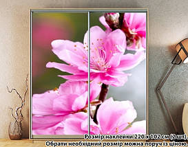 Наклейка на шафу-купе 220 х 74 см на 2 двері квіти (БП_а_fl101818), фото 3