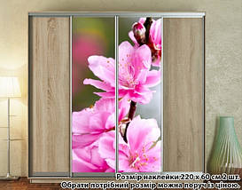 Наклейка на шафу-купе 220 х 74 см на 2 двері квіти (БП_а_fl101818), фото 4
