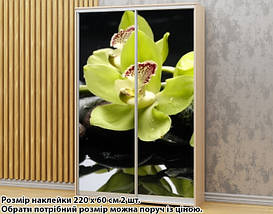 Наклейка на шафу-купе 220 х 74 см на 2 двері Орхідеї жовті (БП_а_fl12887), фото 3