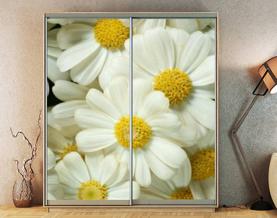 Наклейка на шафу-купе 220 х 102 см на 2 двері  Ромашки (БП_а_fl101878), фото 1