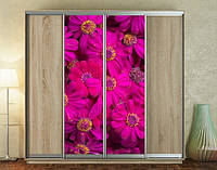 Наклейка на шкаф-купе 220 х 60 см на 2 двери розовая циненария (БП_а_fl101879)