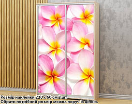 Наклейка на шафу-купе 220 х 74 см на 2 двері Плюмерія (БП_а_fl101963), фото 6