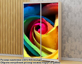 Наклейка на шафу-купе 220 х 74 см на 2 двері троянда (БП_а_fl12925), фото 2
