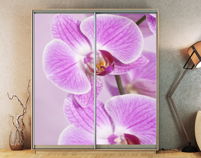 Наклейка на шафу-купе 220 х 102 см на 2 двері Орхідеї (БП_а_fl102089)