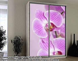Наклейка на шафу-купе 220 х 102 см на 2 двері Орхідеї (БП_а_fl102089), фото 2
