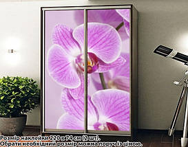 Наклейка на шафу-купе 220 х 102 см на 2 двері Орхідеї (БП_а_fl102089), фото 3