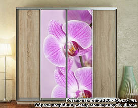 Наклейка на шафу-купе 220 х 102 см на 2 двері Орхідеї (БП_а_fl102089), фото 5