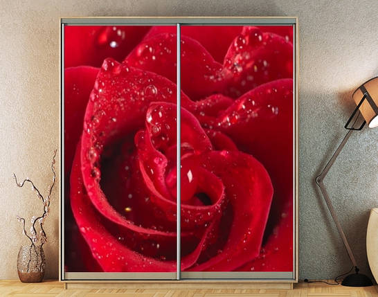 Наклейка на шафу-купе 220 х 102 см на 2 двері  троянда (БП_а_fl12927), фото 1