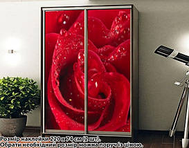 Наклейка на шафу-купе 220 х 102 см на 2 двері  троянда (БП_а_fl12927), фото 3
