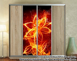 Наклейка на шафу-купе 220 х 60 см на 2 двері вогняна квітка (БП_а_fl102144), фото 2