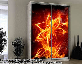 Наклейка на шафу-купе 220 х 60 см на 2 двері вогняна квітка (БП_а_fl102144), фото 3