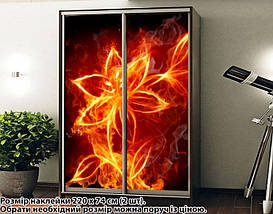 Наклейка на шафу-купе 220 х 60 см на 2 двері вогняна квітка (БП_а_fl102144), фото 4